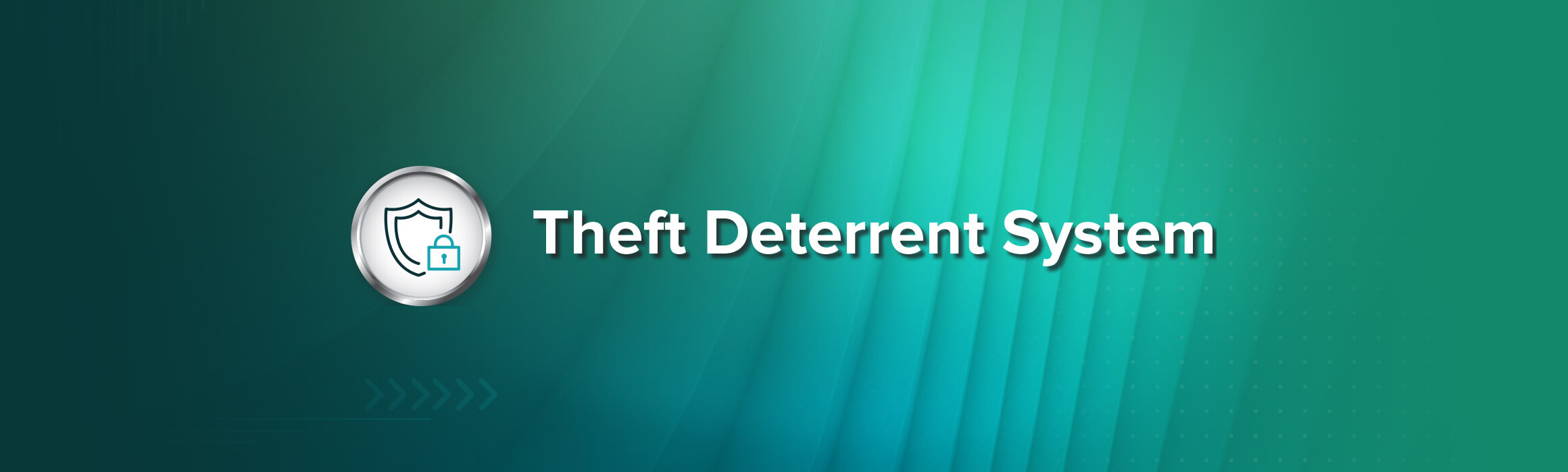 Theft Deterrent System